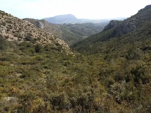 view on the valley