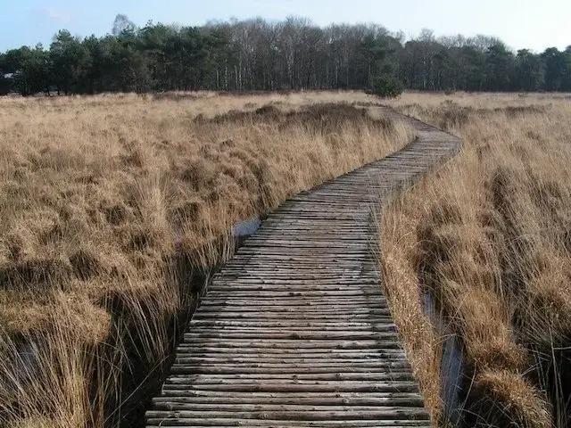 boardwalk