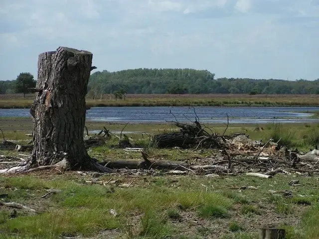 view on fens from the hoenderboom