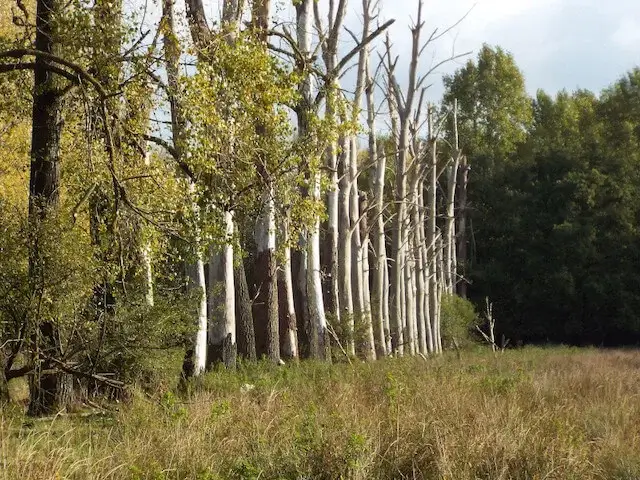 the scheeken nature reserve