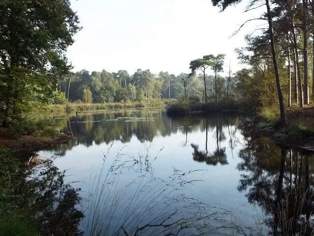 the voorste goorven