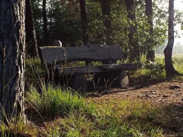 bench in oisterwijkse bossen en vennen