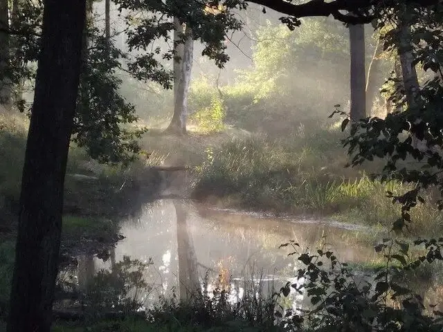 the rosep brook