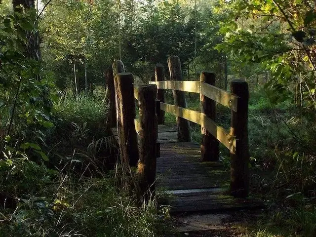 bridge over the rosep brook