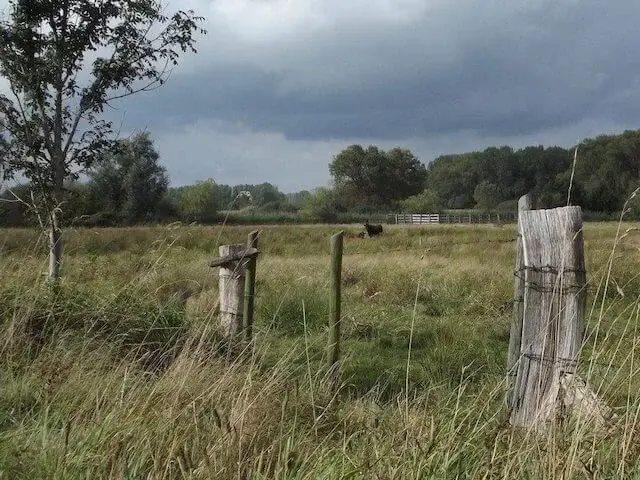 dommel valley