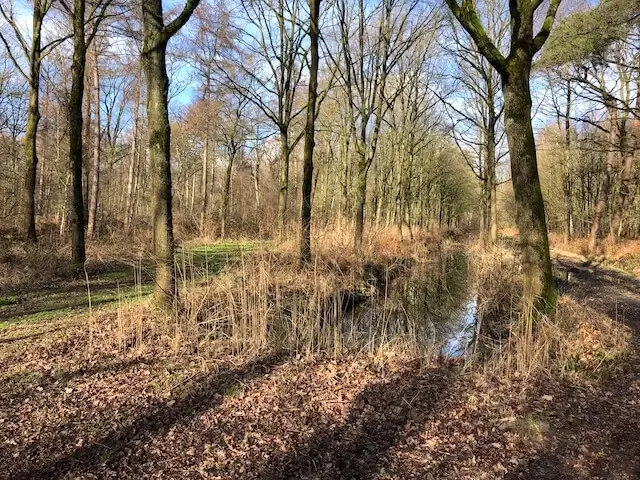 wandeling door het natuurgebied het leen en langs het schipdonkkanaal