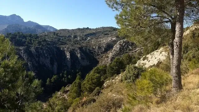 Rond Tàrbena