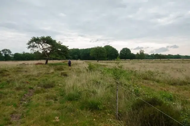 doldersummerveld