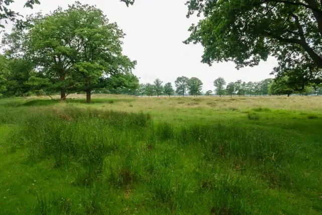 doldersummerveld