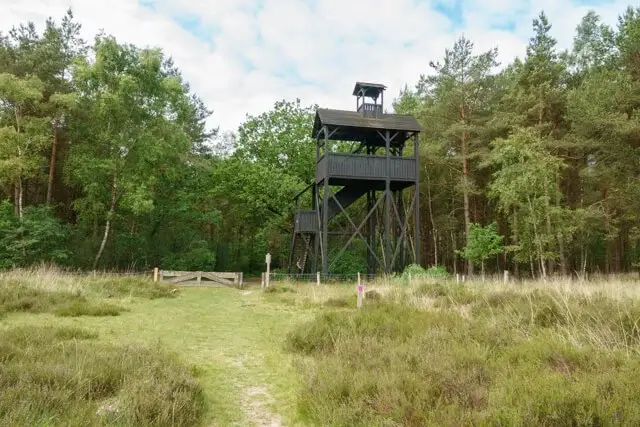 observation tower