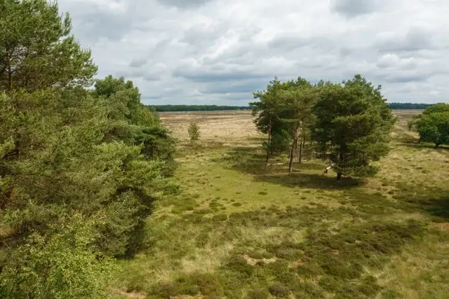view from the observation tower on the doldersummerveld
