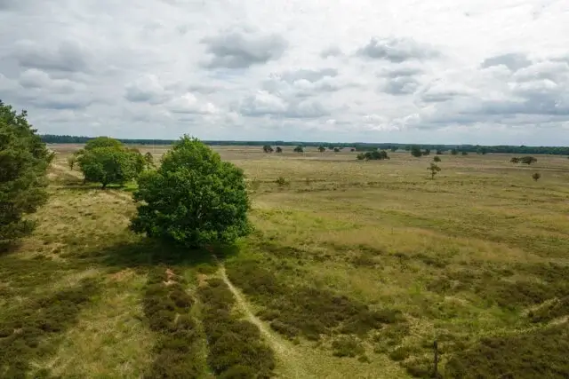 Through the Doldersummerveld