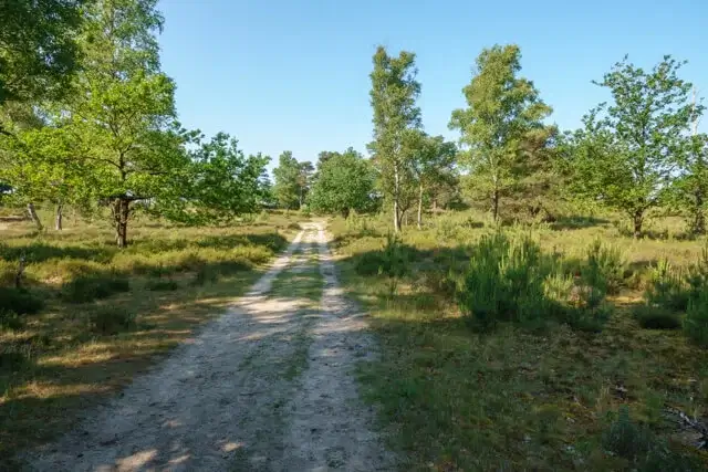 sand path to the aekingerzand