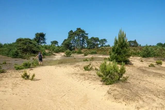 aekingerzand