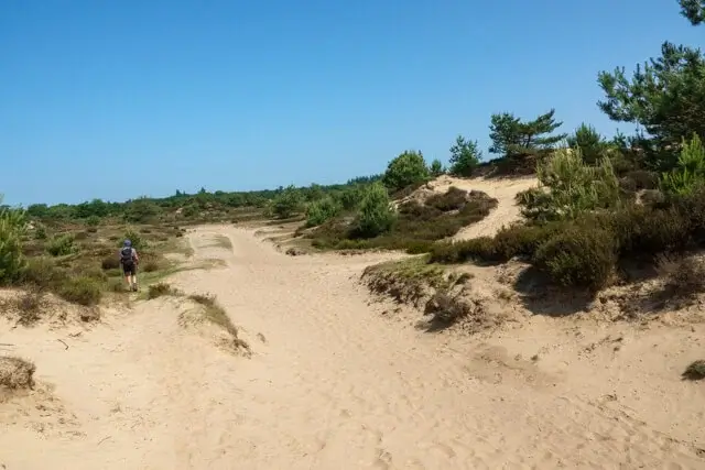 san dunes in the aekingerzand