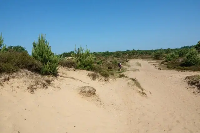 san dunes