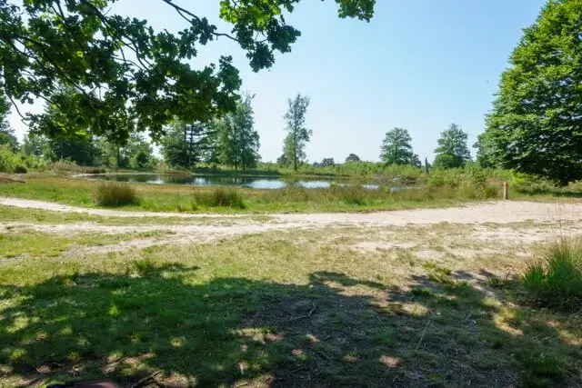 nive fen with bench in the shade