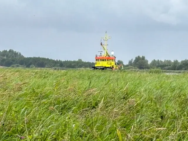 Boat sails through the reed fields