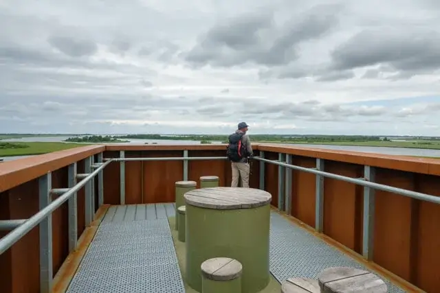 on top of the observation tower