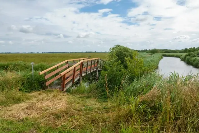 nice bridge