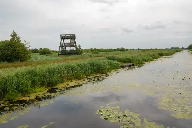 Earnesleat observation tower