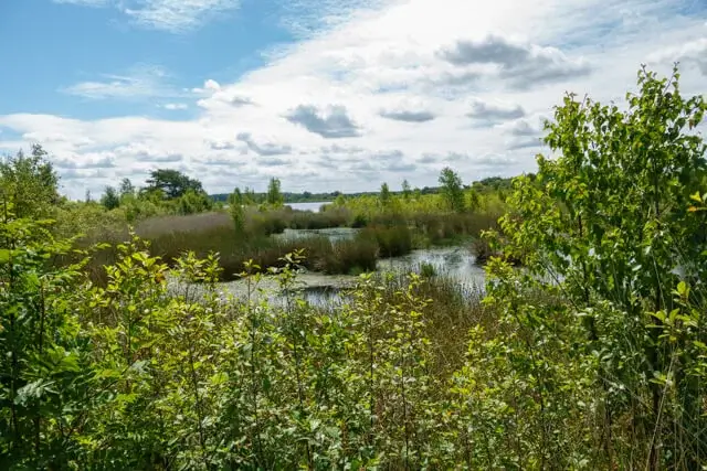 Brunstingerplas