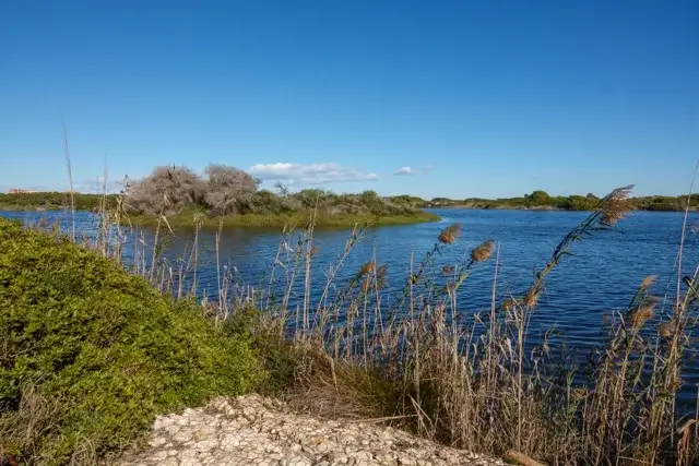 Door natuurpark Albufera