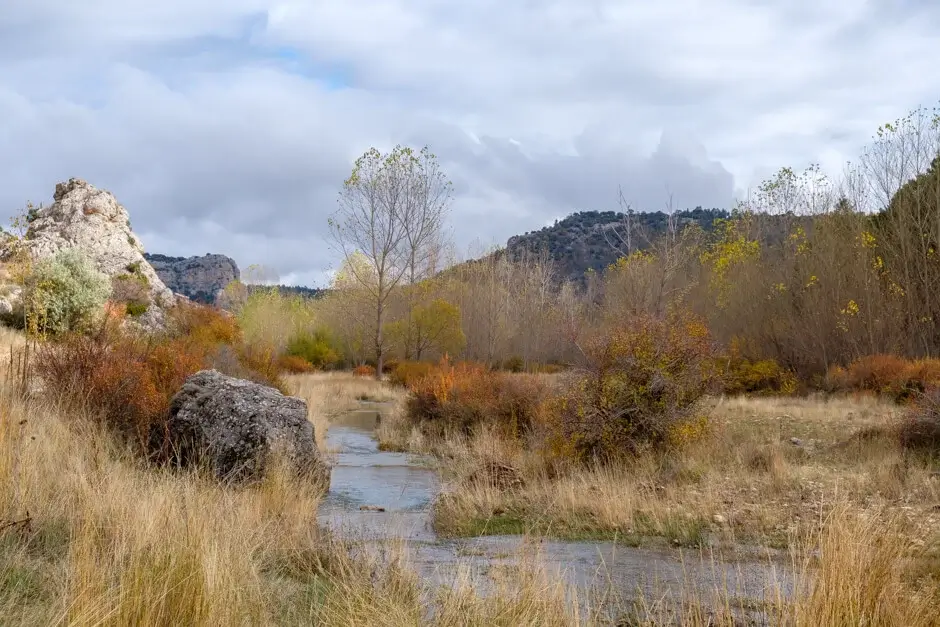 prachtige herfstkleuren aan de rio blanco