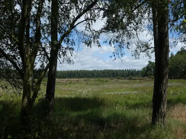 doorkijkje