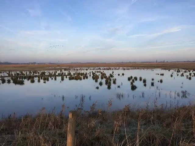 natuurgebied grote putting