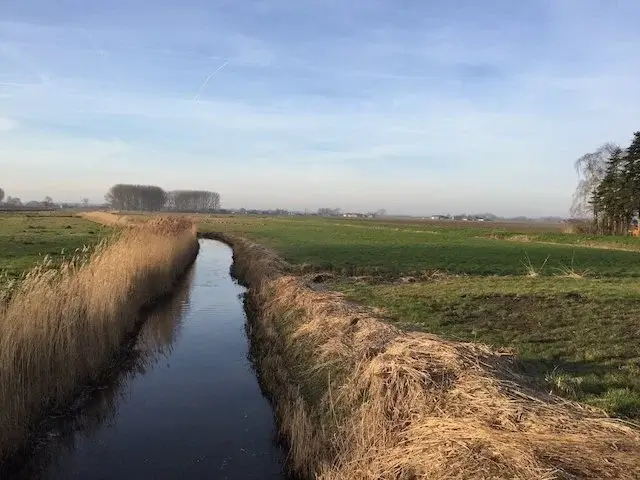 sloot in de omgeving van de vogelkreek