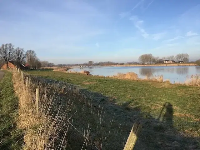 vogelkreek