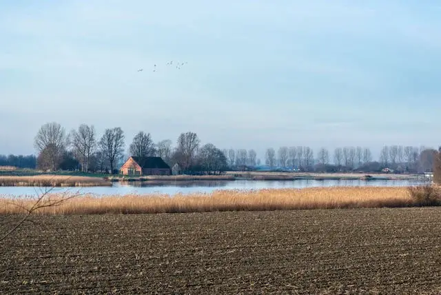 zicht op de vogelkreek