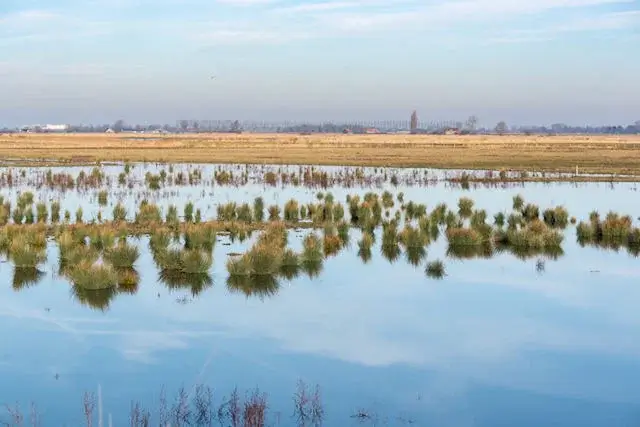 view on grote putting nature reserve