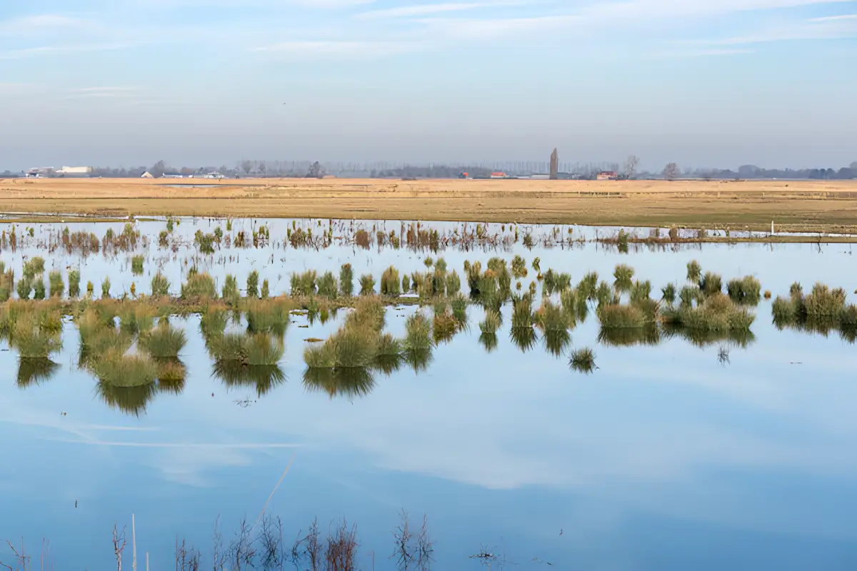 uitzicht op de grote putting
