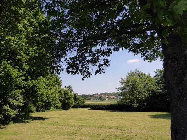 mooi uitzicht op de wandeling rond bemelen