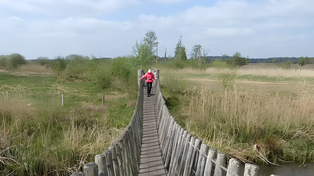 mooi brugje over de dommel