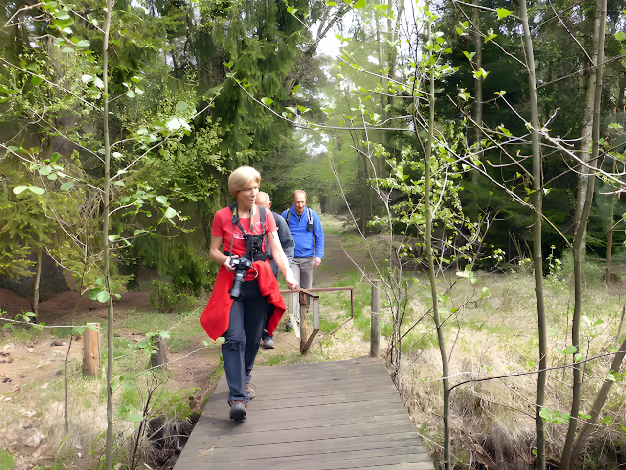 Dalems Stroompje
