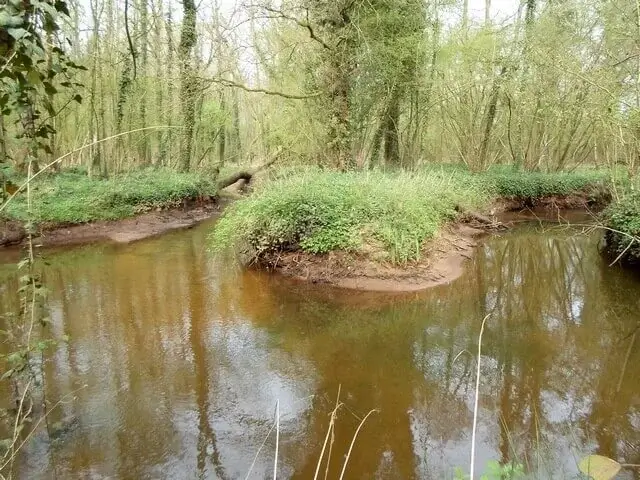 meanderende reusel