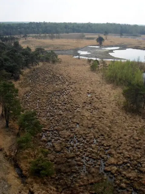 uitzicht vanop de flaestoren