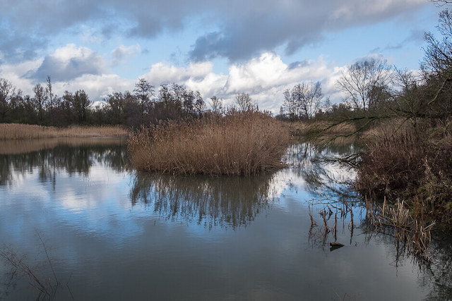 Hobokense Polder