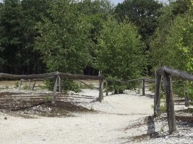 molenheidese bossen