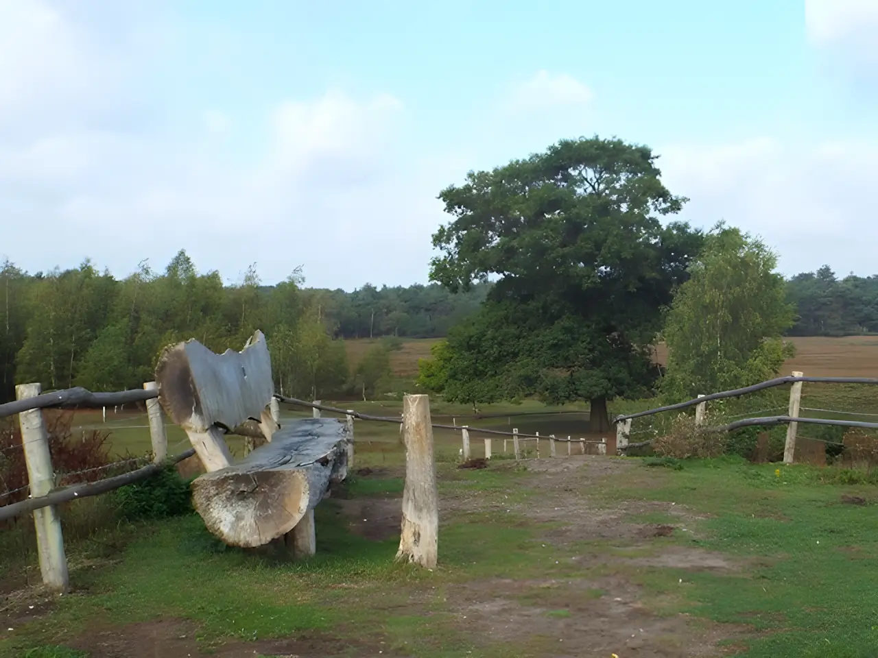 zitbank aan de molenheidse bossen