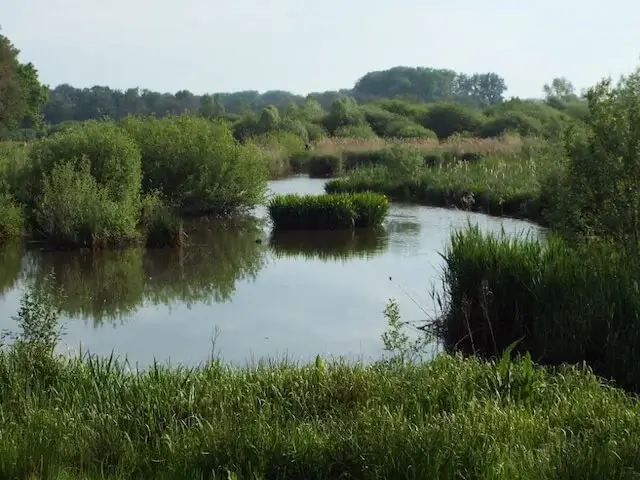 dal van de beerze