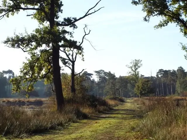 pad naast de kattelaarsput