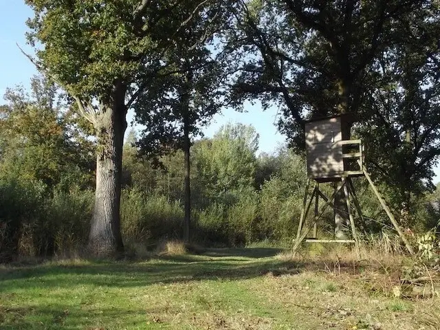 hoogzit bij neerpeelbeek