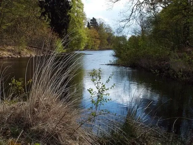 slinkvijver in de groote slink