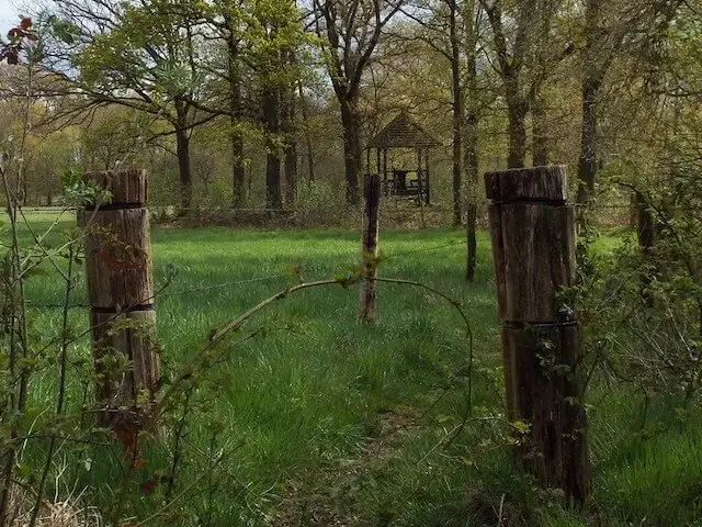 pad naar de theekoepel