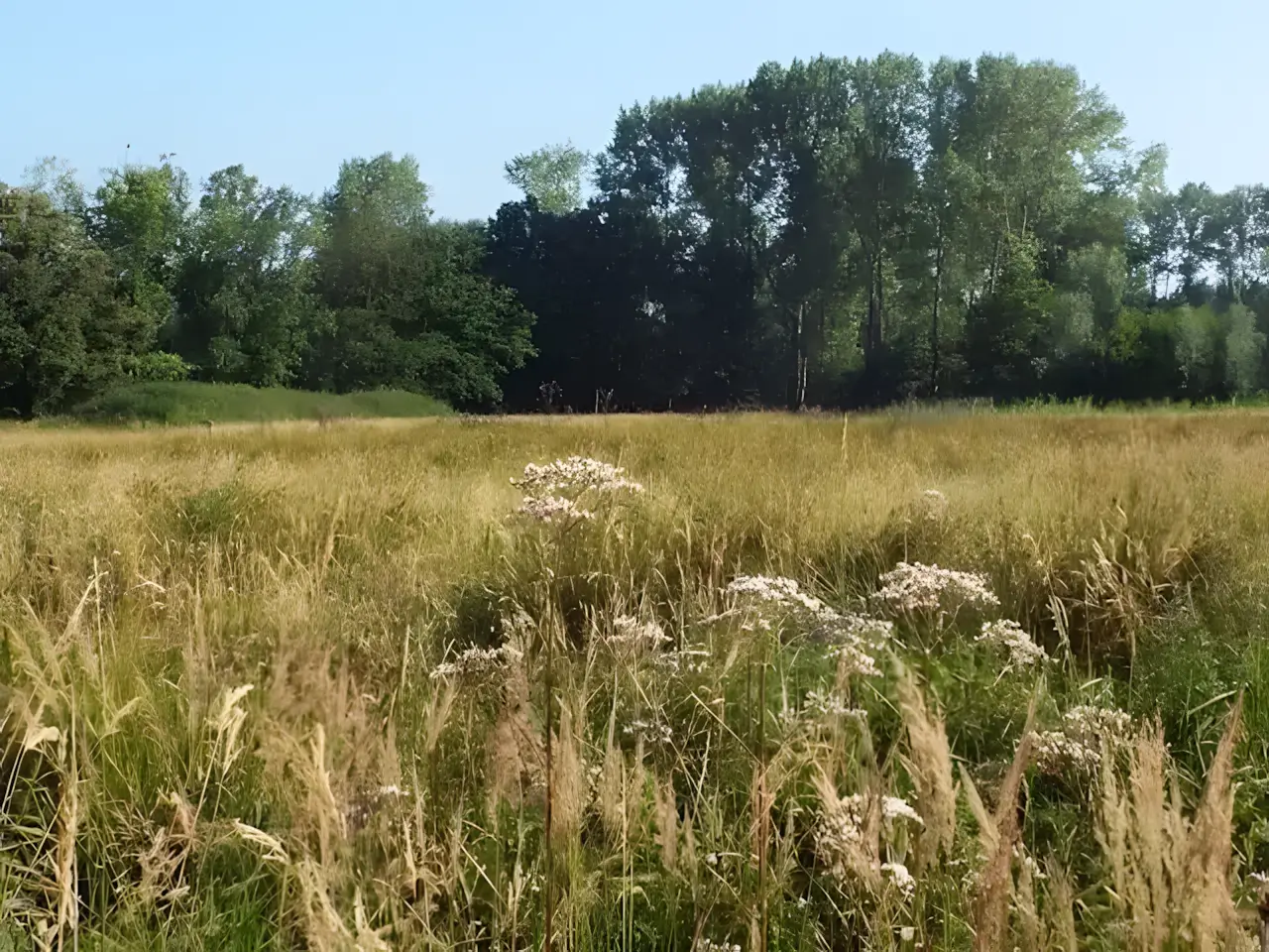 natuurgebied scheeken de mortelen