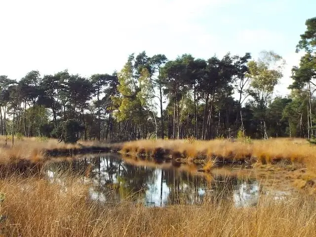 nog een klein ven bij de hazenputten